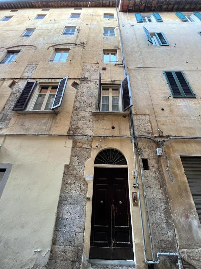 Mossotti Street Apartment Pisa Esterno foto